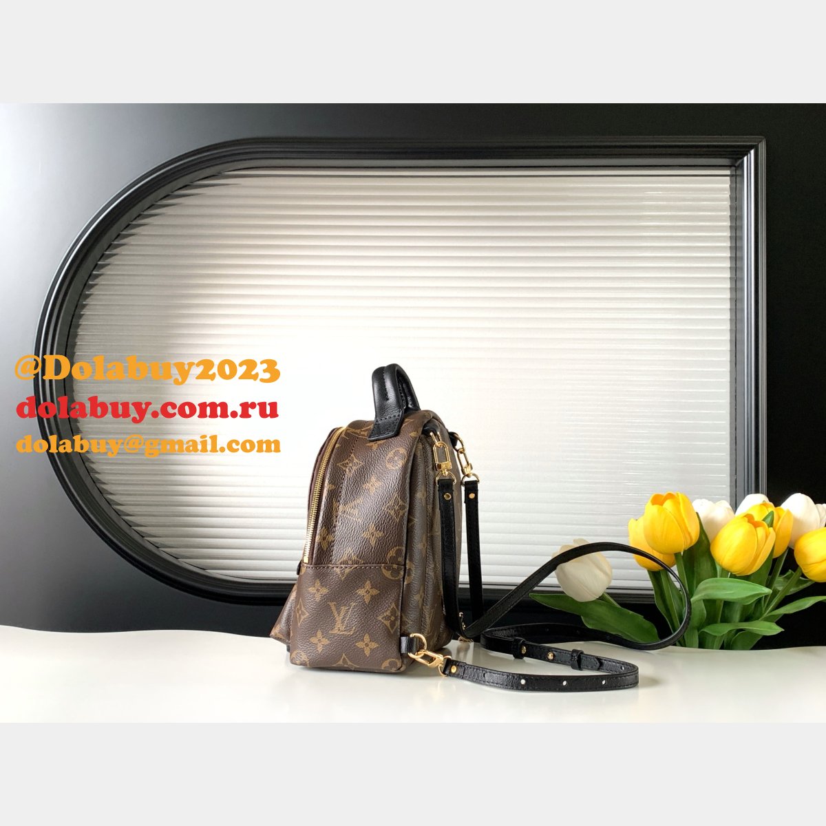 Top Quality Classical Palm Springs Louis Vuitton backpack