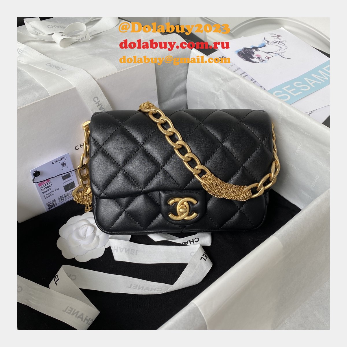 Fashion Buy Multi-function Replica AS4231 Flap Bag