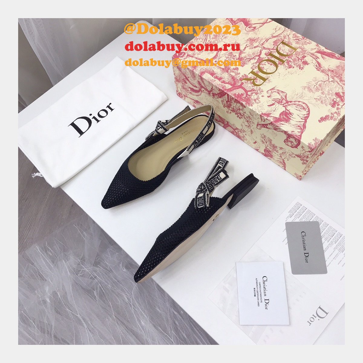 Luxury High Quality Fashion Designer Dior Shoes