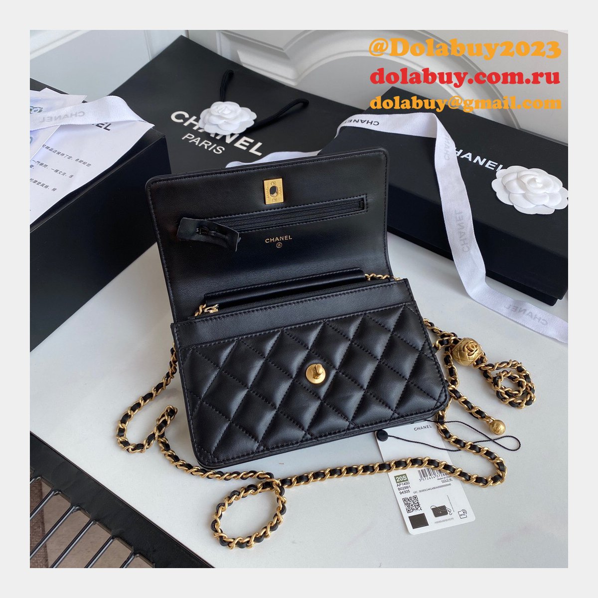 Replica 19CM Iridescent Wallet On Chain WOC AP1450 Bag