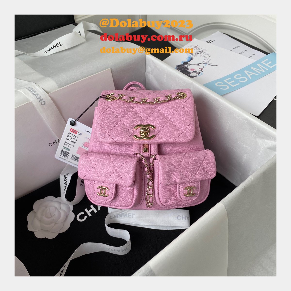 Wholesales High Quality Backpack AS3860/AS3787 Store Bag