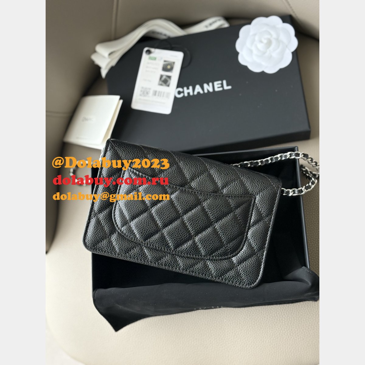 Wallet-On-Chain Replica AAA+ AP2053 Woc Purses