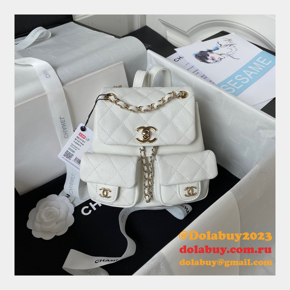 Wholesales High Quality Backpack AS3860/AS3787 Store Bag