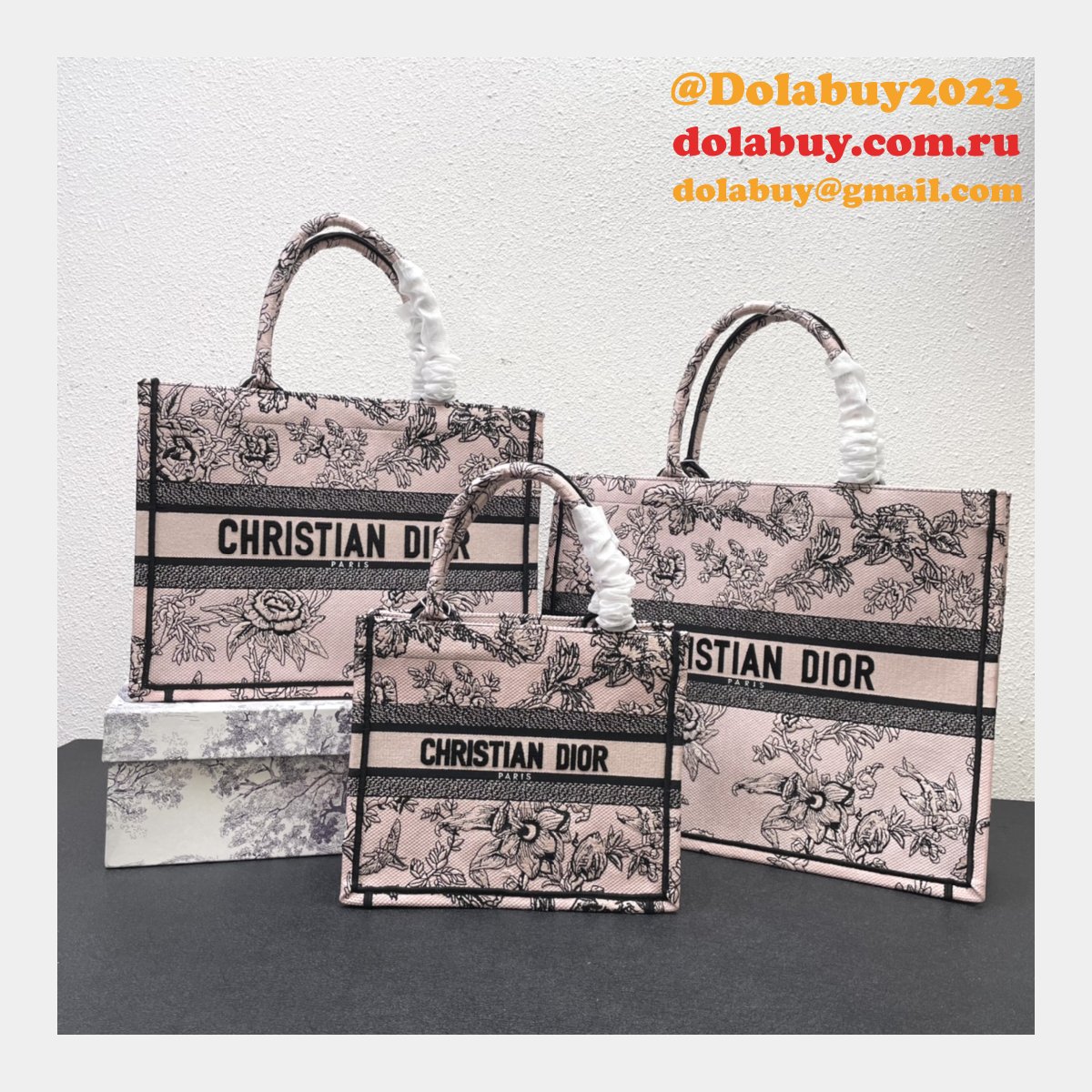 Perfect Designer DIOR CD BOOK TOTE Wholesale Inspired