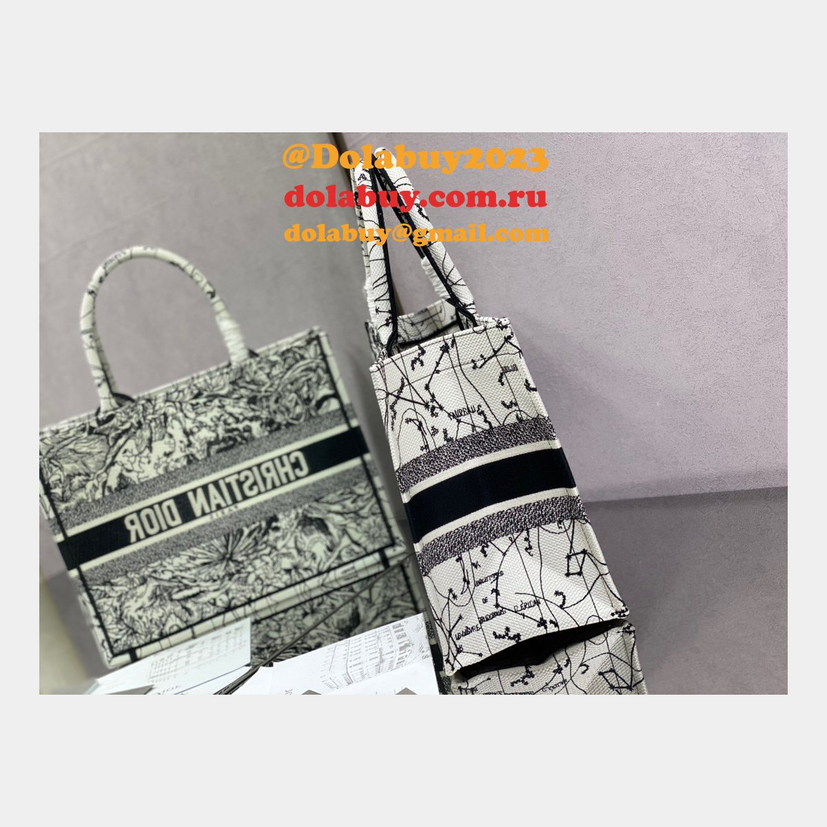 Buy High Quality Dior Replica CD Tote Bags for Women