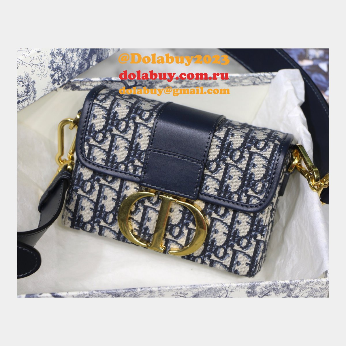Best Dior Montaigne minibox