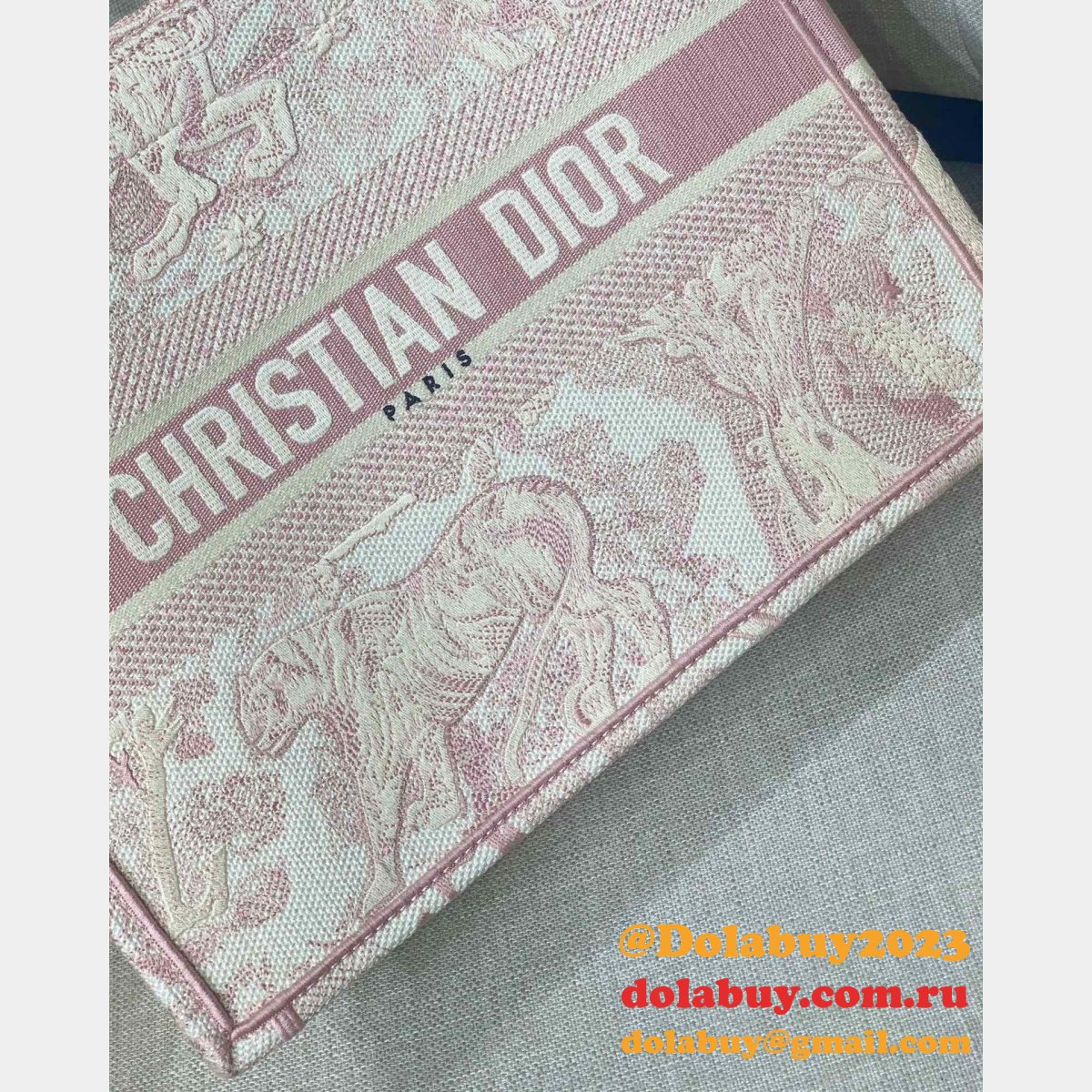 AAA+ Christian Dior CD Book Tote Top Quality Bags