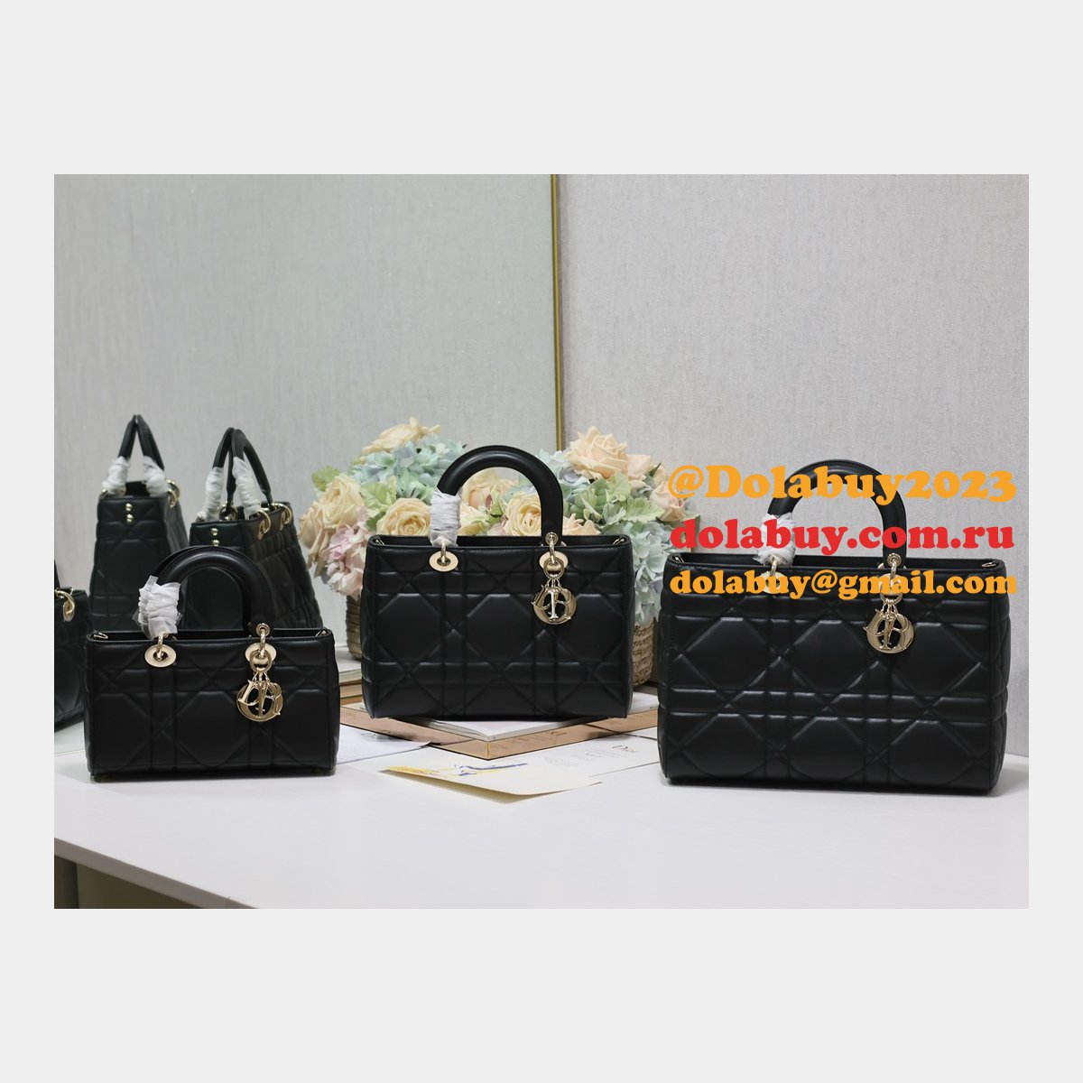 Top Quality Lady D-Sire My ABC Dior handbag