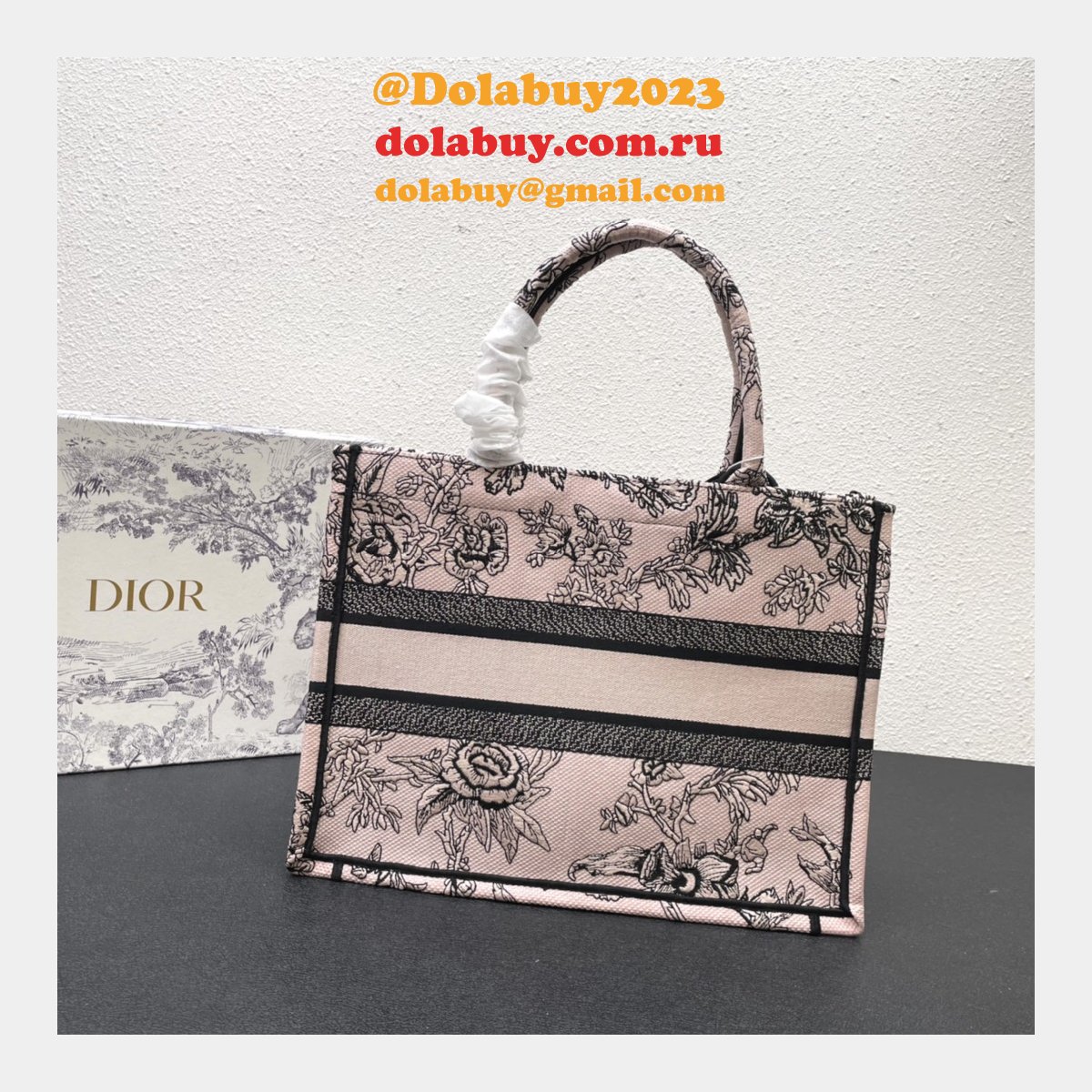 Perfect Designer DIOR CD BOOK TOTE Wholesale Inspired