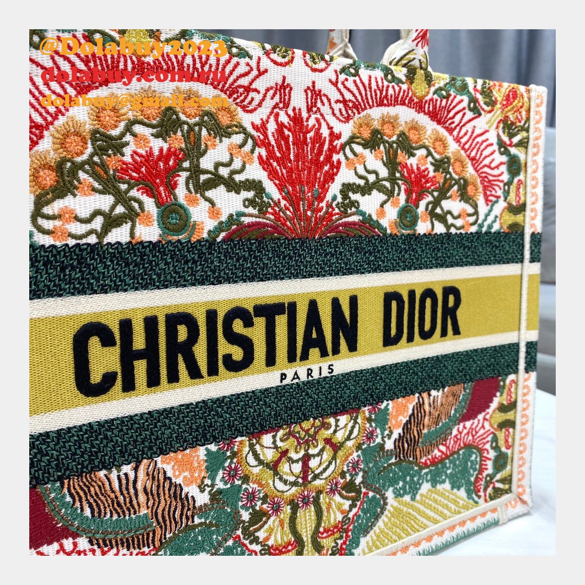 Replicas Christian Dior Luxury Dior Oblique Embroidery