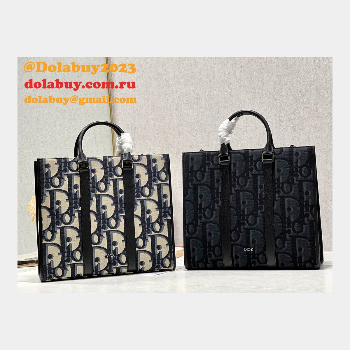 Luxury High Quality Dior EAST-WEST HANDBAG