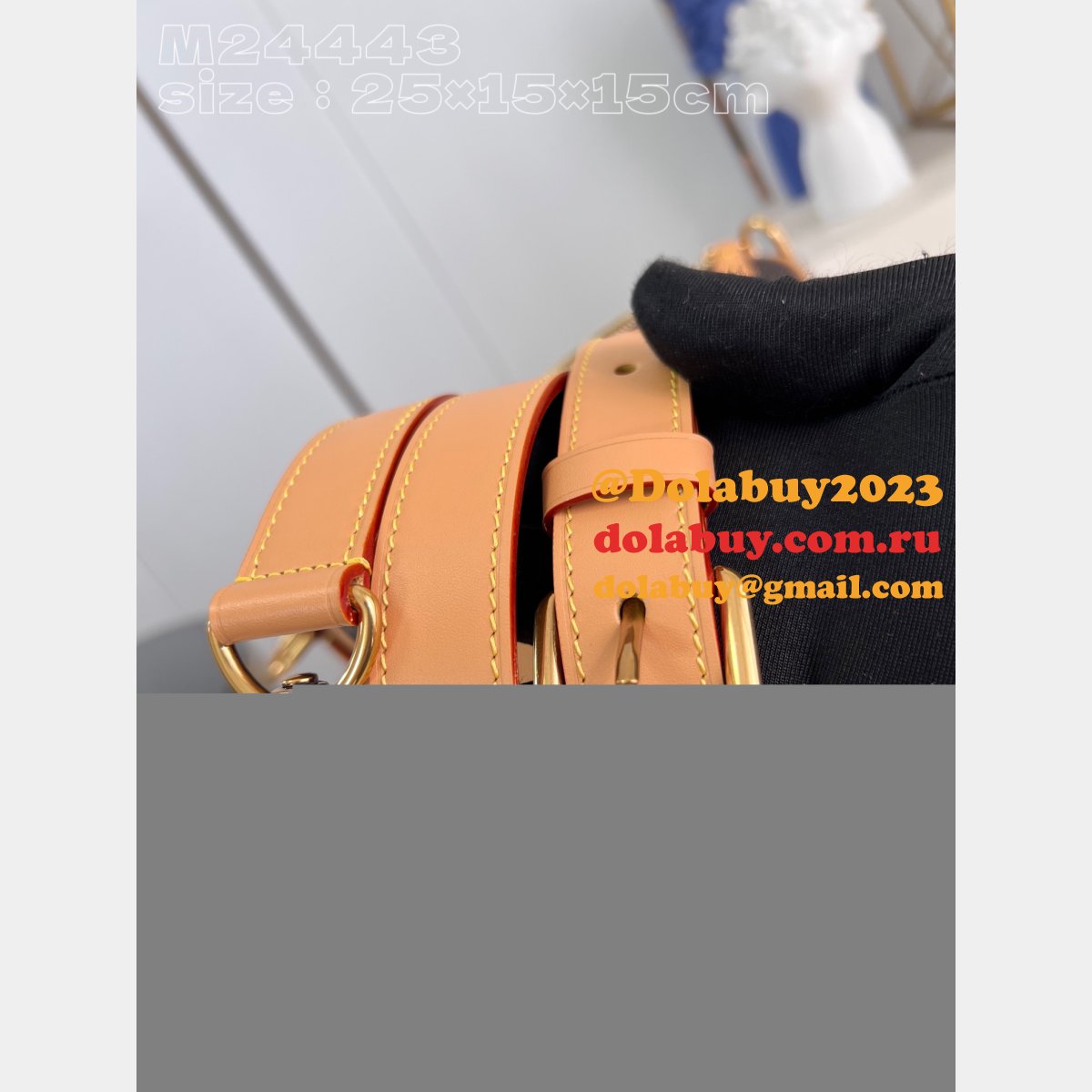 Speedy P9 Bandoulière 25 Autres Cuirs M24423 Knockoff Shop Louis Vuitton Bag