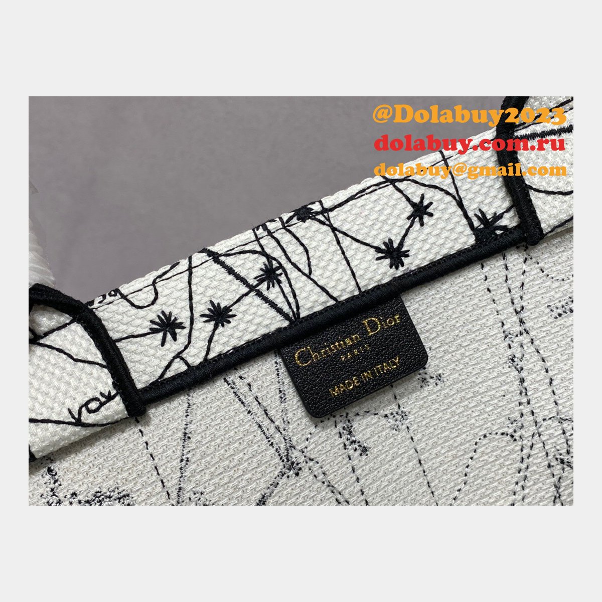 Replica Christian Dior Trotter Pattern Hand CD Book Tote Bag