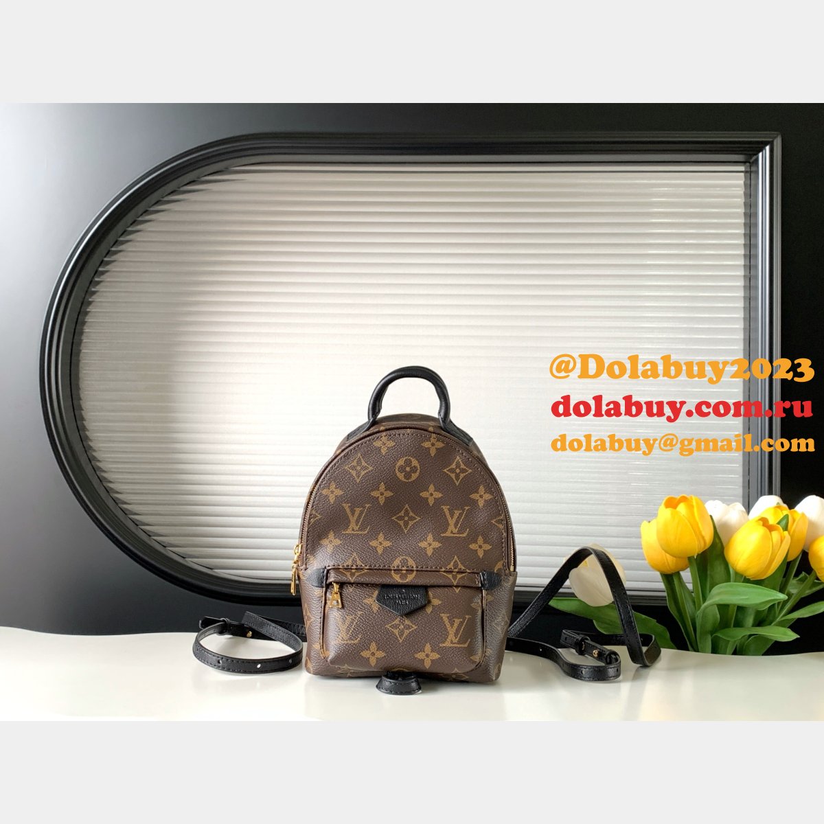 Top Quality Classical Palm Springs Louis Vuitton backpack