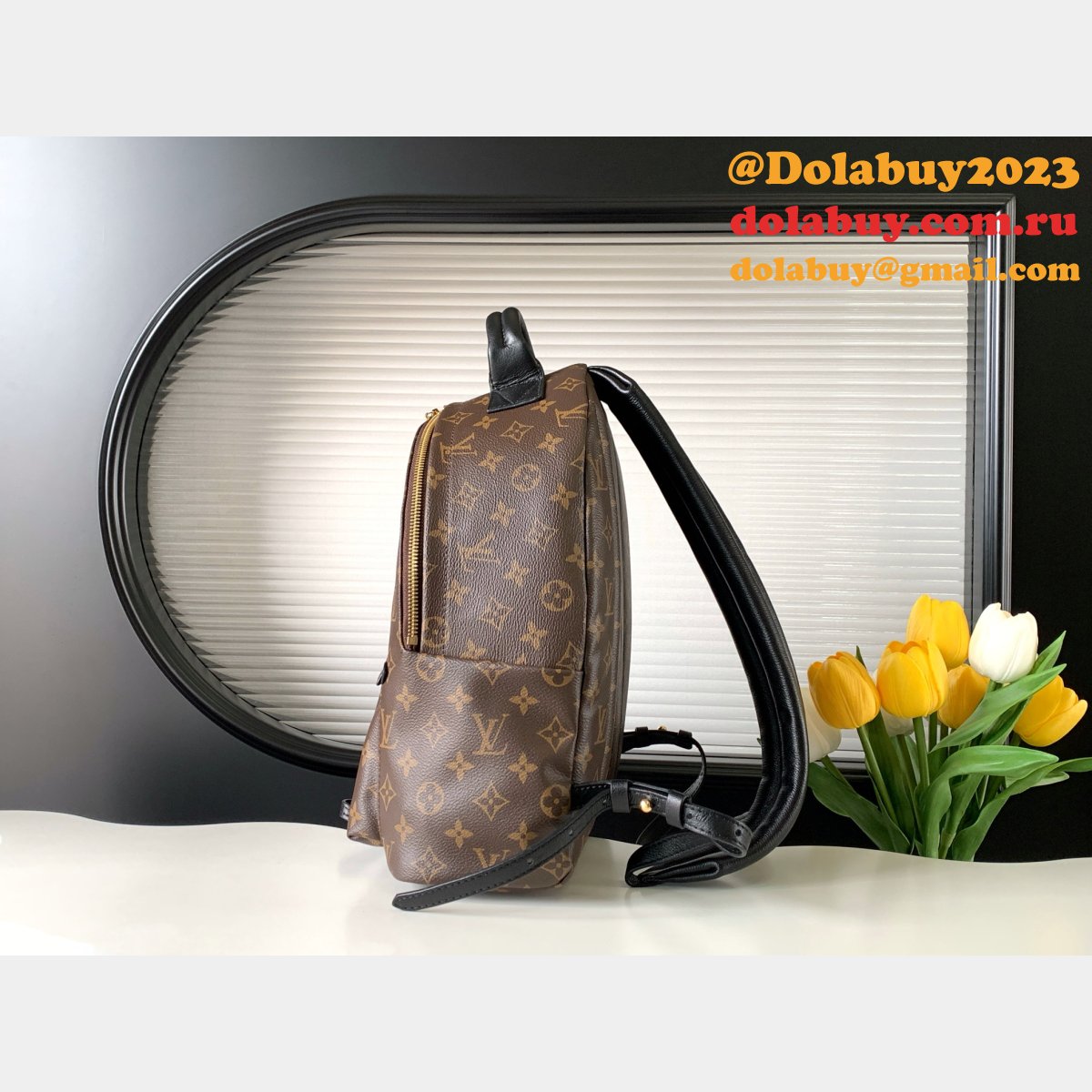 Top Quality Classical Palm Springs Louis Vuitton backpack