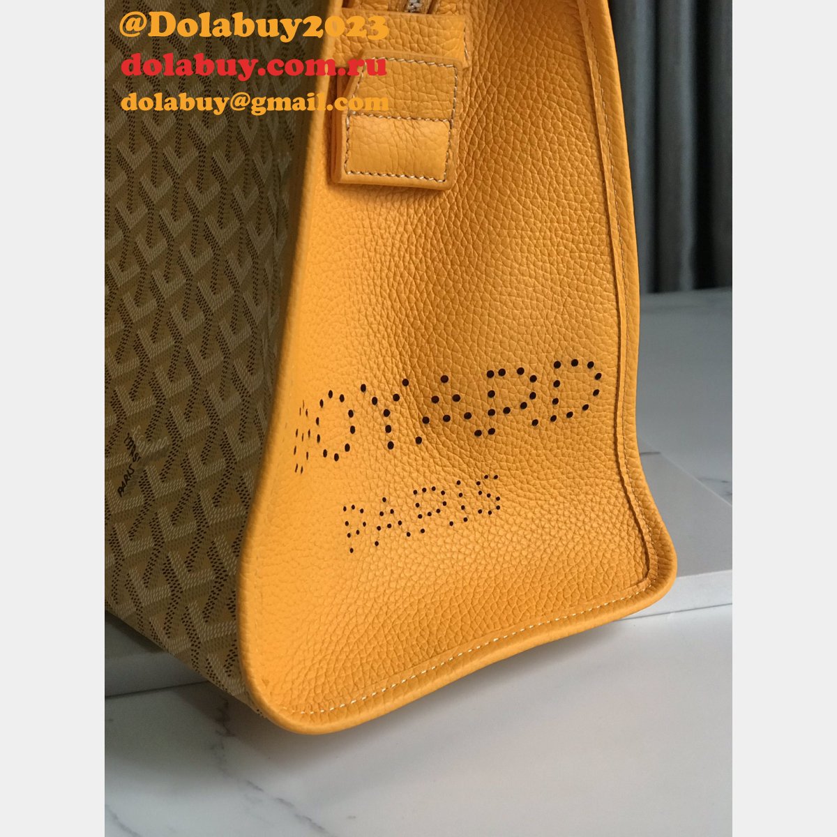 Luxury GOYARD HARDY LADY Designer handbag