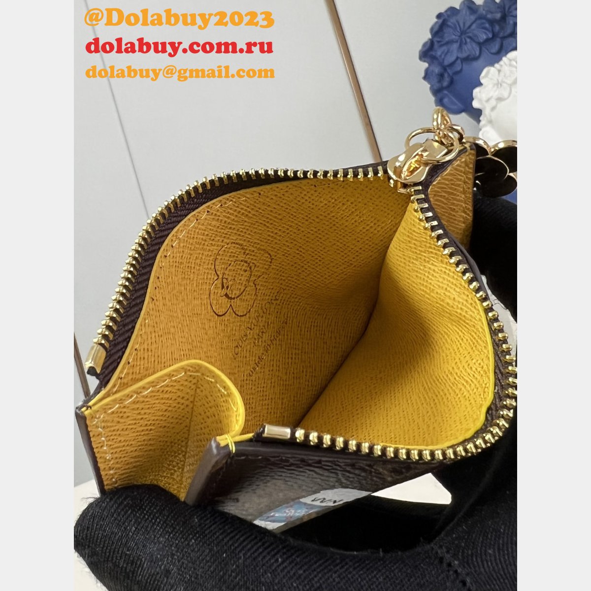 Louis Vuitton Designer Zippy Nano Noé Lisa Wallet Knockoff