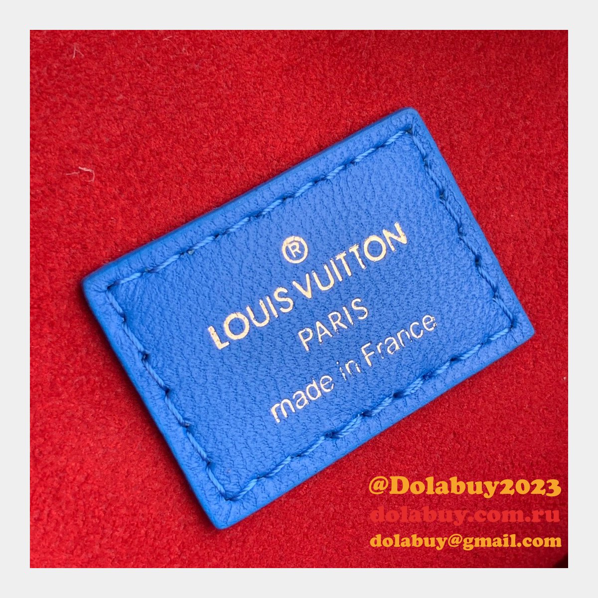 Quality Louis Vuitton Best Coussin PM H27 M58628/M58626 Pink/Blue Handbags