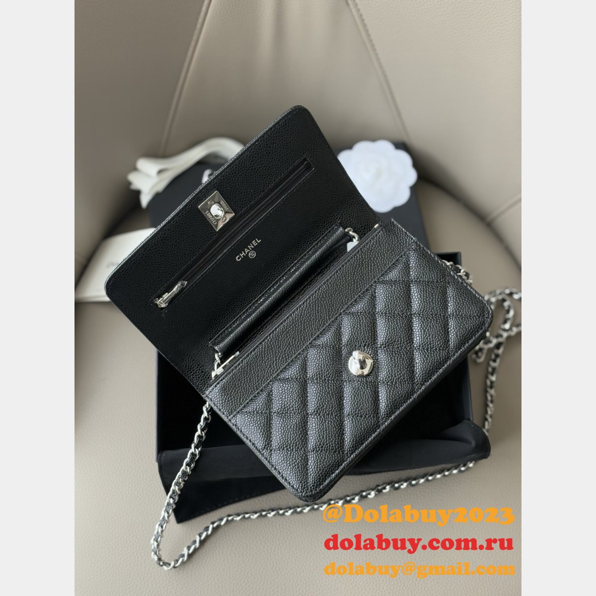 Wallet-On-Chain Replica AAA+ AP2053 Woc Purses