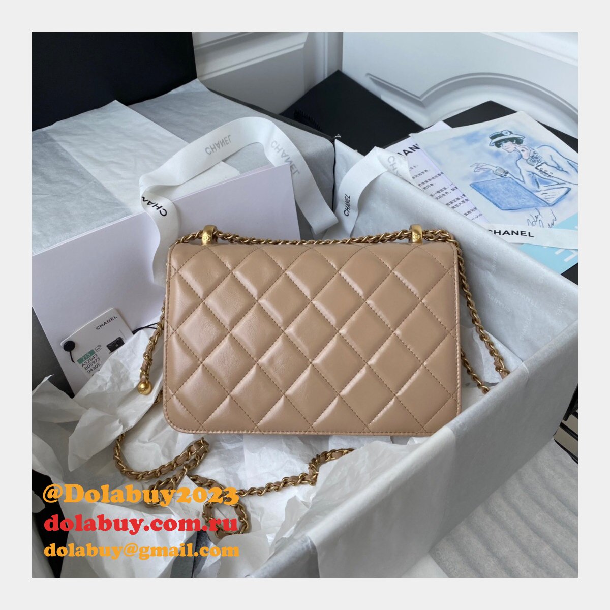 1:1 Replica AS2649 Calfskin & Gold-Tone Metal Flap Bag