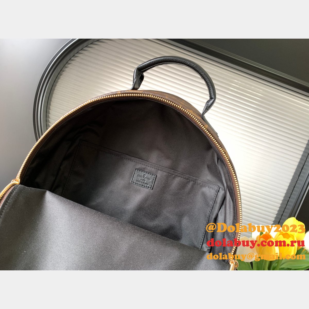 Top Quality Classical Palm Springs Louis Vuitton backpack