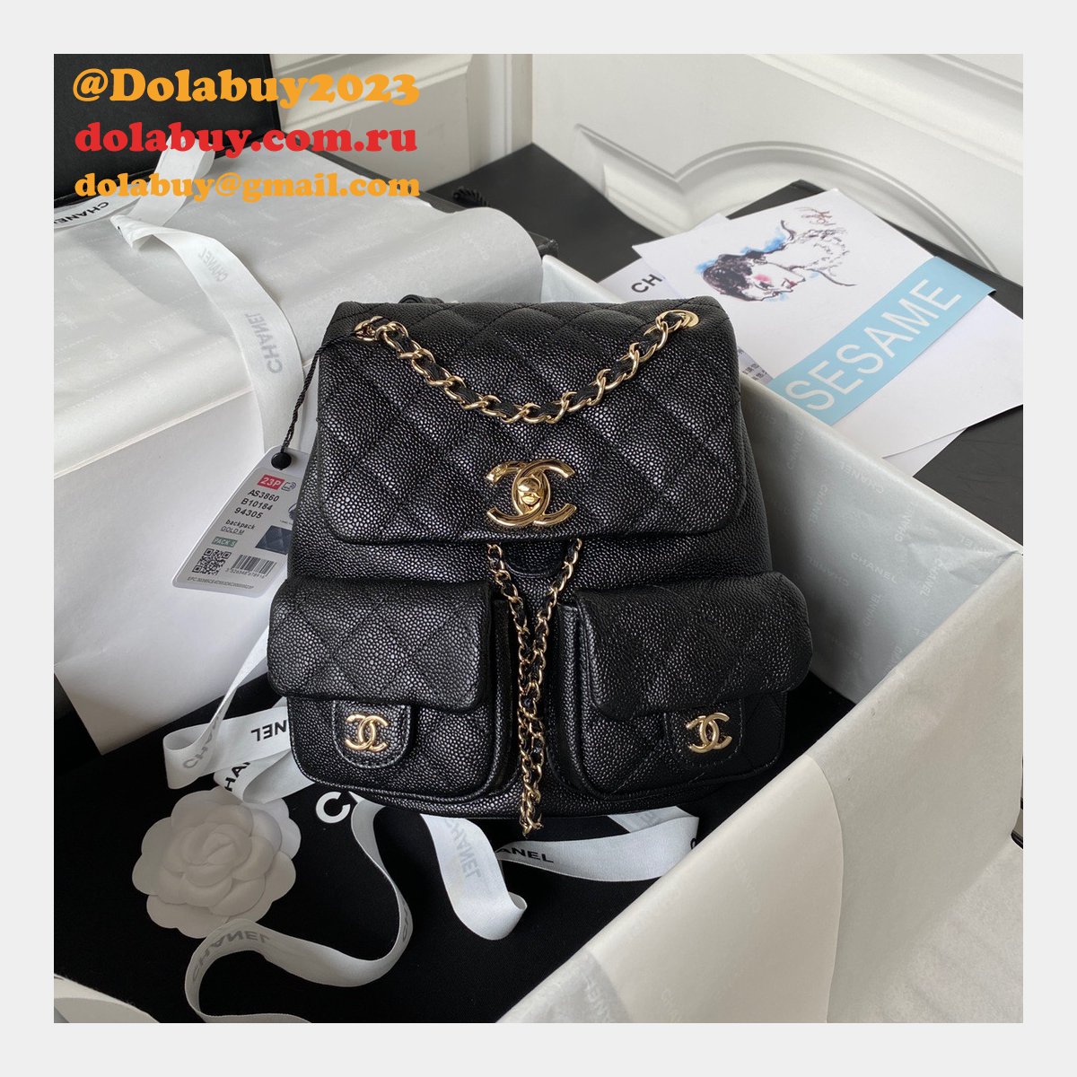 Wholesales High Quality Backpack AS3860/AS3787 Store Bag