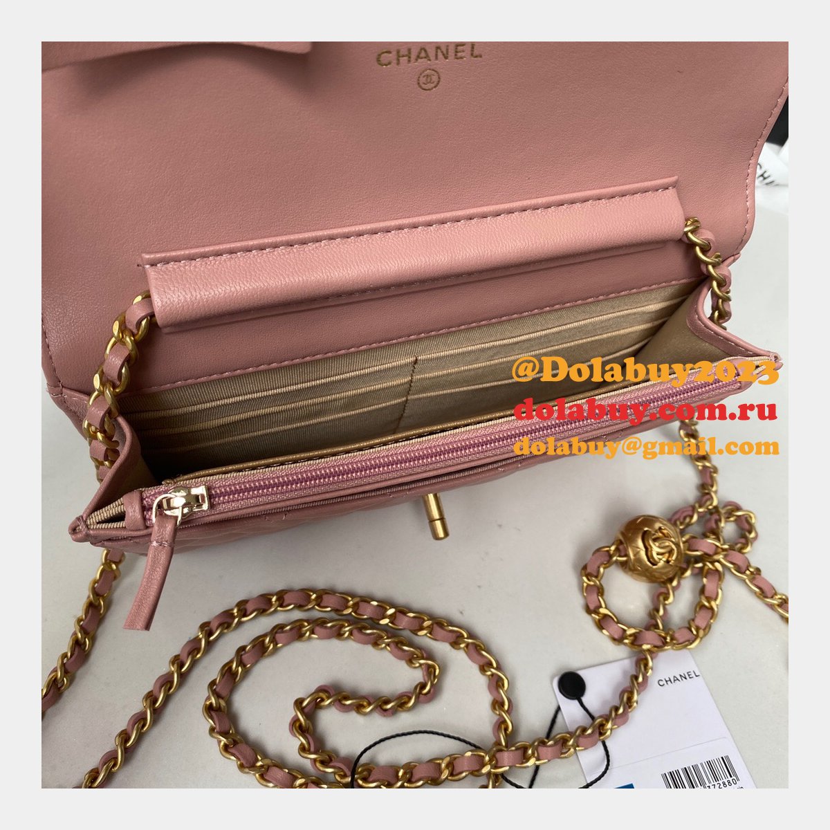 Replica 19CM Iridescent Wallet On Chain WOC AP1450 Bag