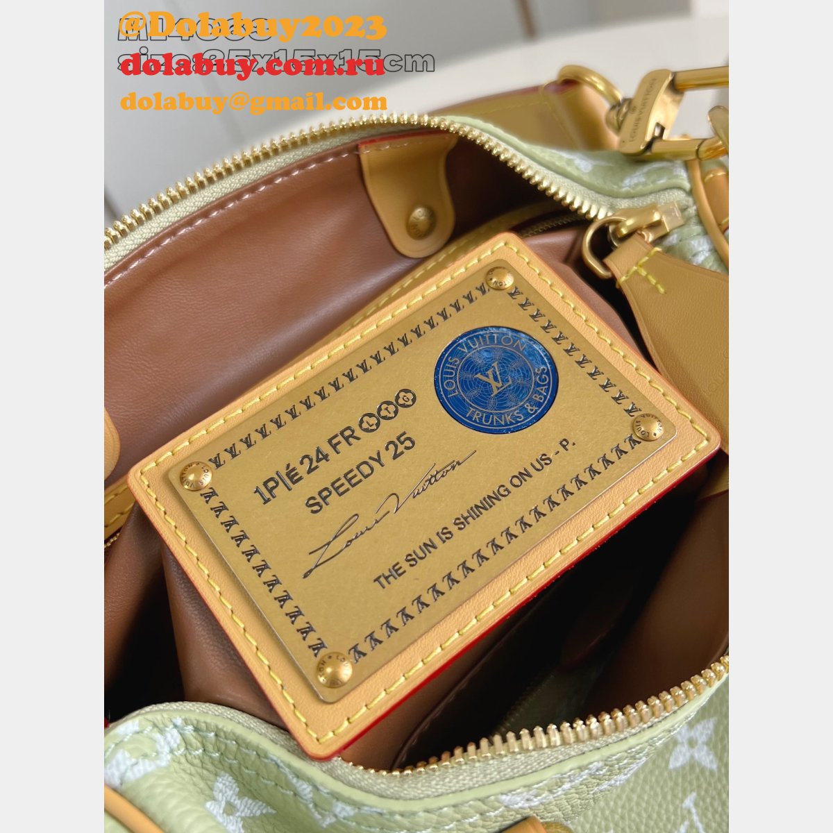 Louis Vuitton Top Best Speedy P9 Bandoulière 30 Replica Bag