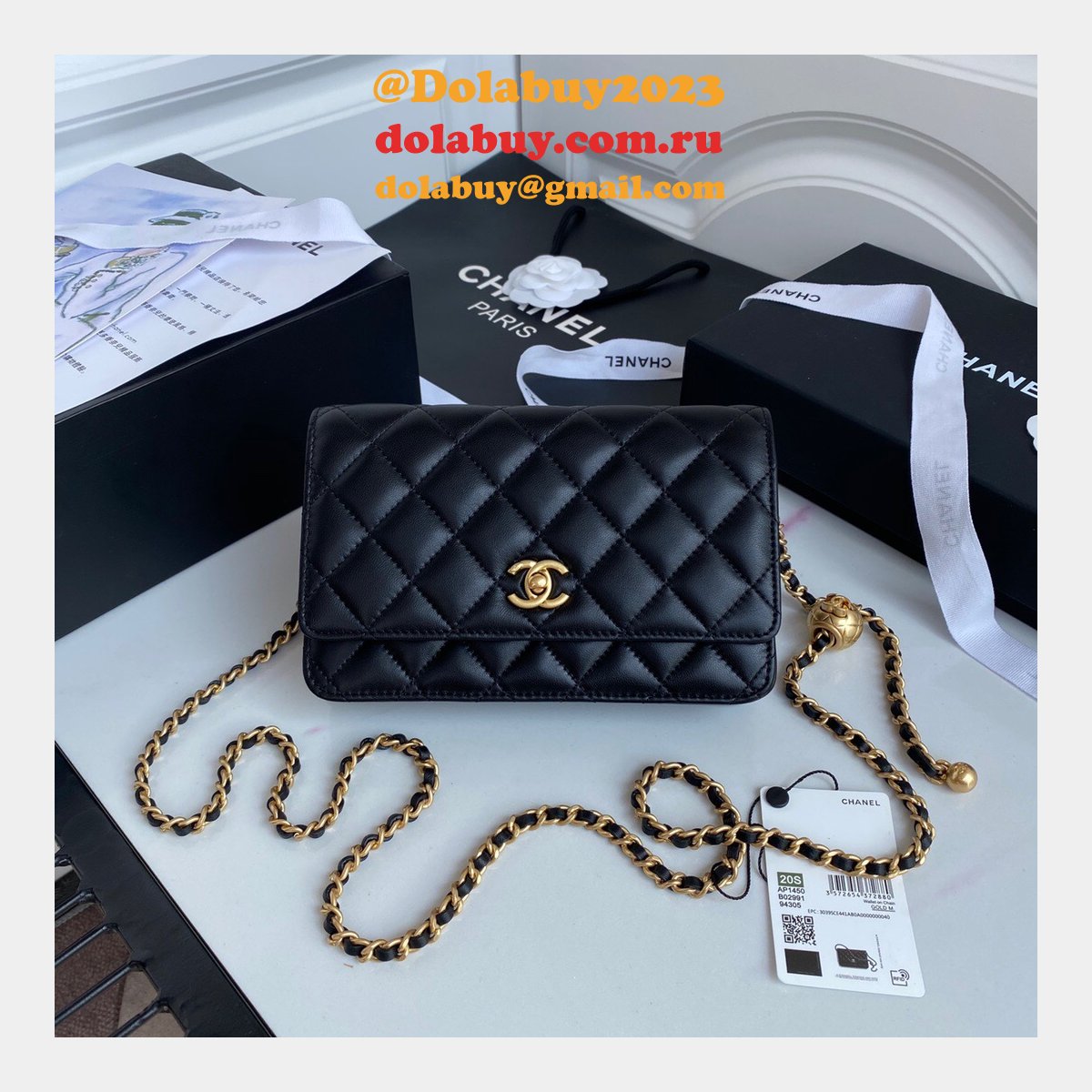 Replica 19CM Iridescent Wallet On Chain WOC AP1450 Bag
