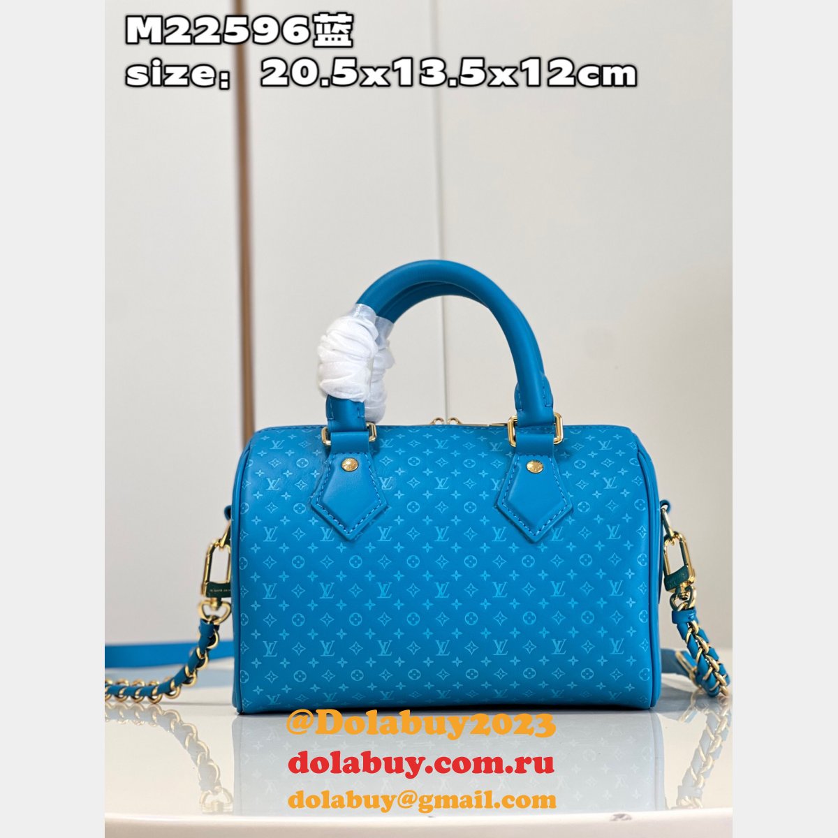 Speedy Replica Louis Vuitton M22595 Bandoulière 20 H27 Bag