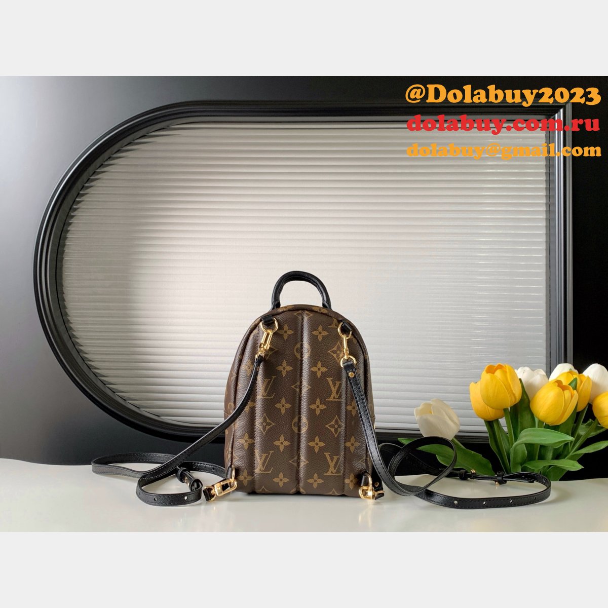 Top Quality Classical Palm Springs Louis Vuitton backpack