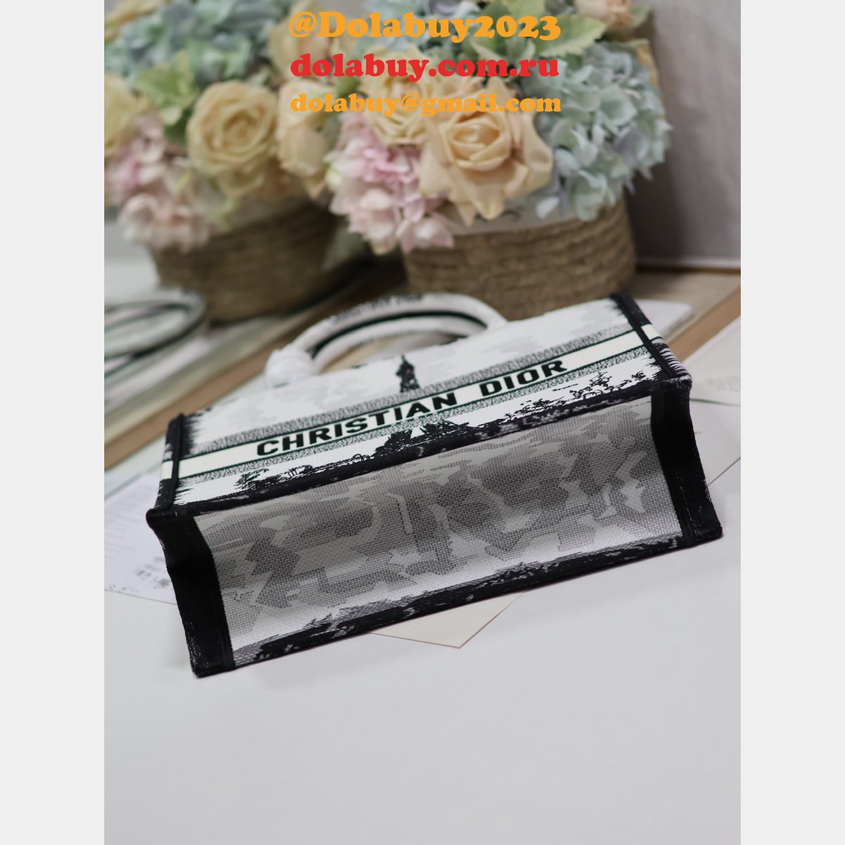 Top Quality DIOR Eiffel Tower BOOK TOTE