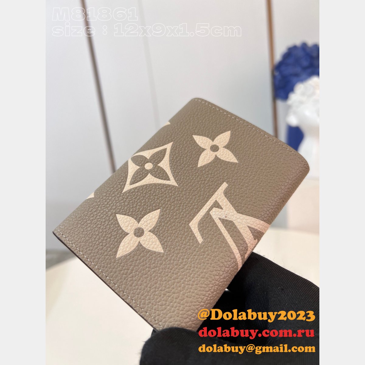 Victorine Wallet Bicolor M81861 Fake Louis Vuitton Gray Bag