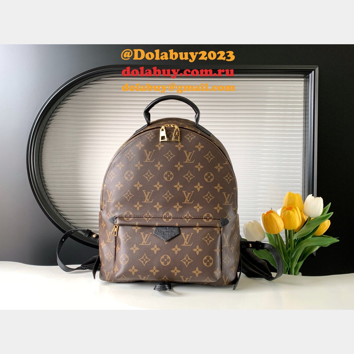 Top Quality Classical Palm Springs Louis Vuitton backpack