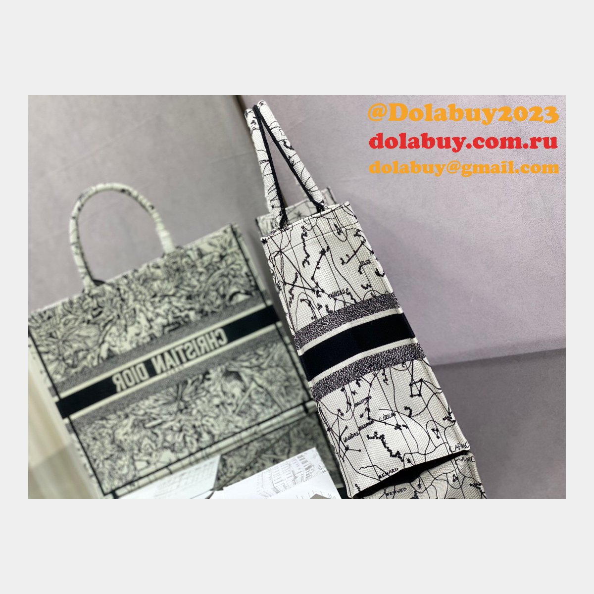 Replica Christian Dior Trotter Pattern Hand CD Book Tote Bag