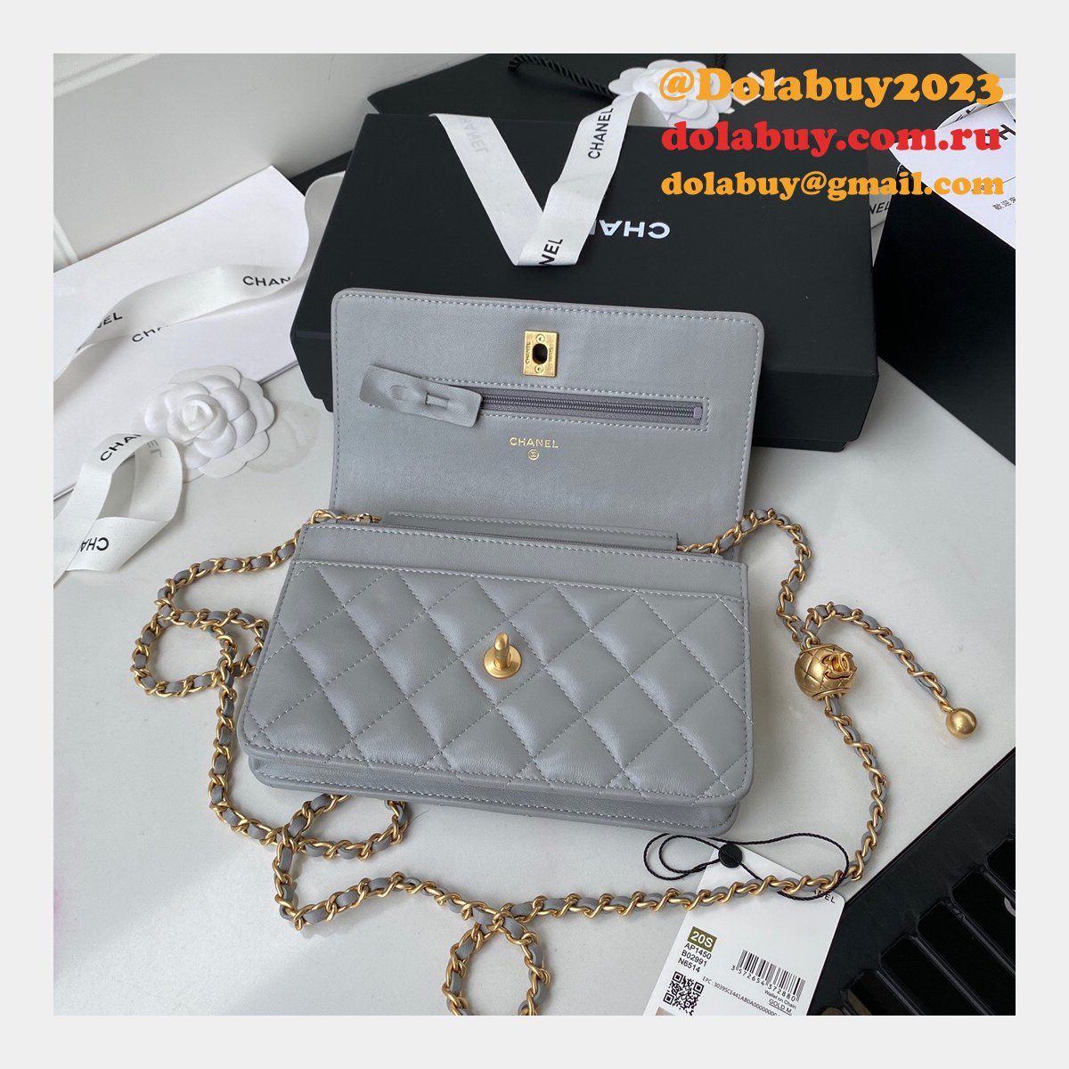 Replica 19CM Iridescent Wallet On Chain WOC AP1450 Bag