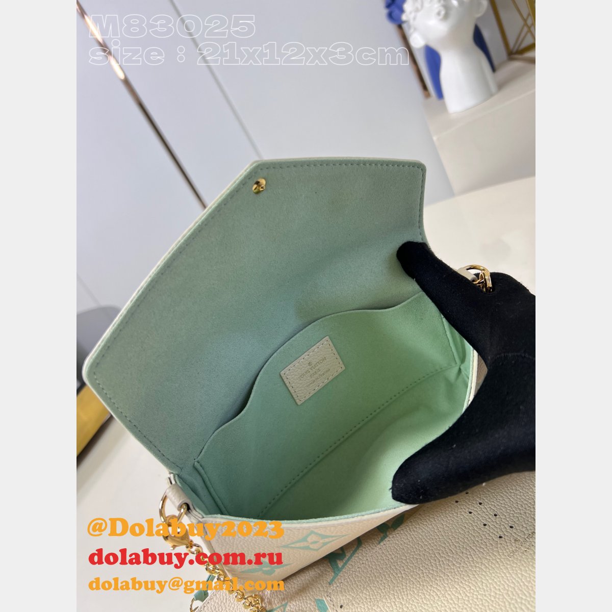 Félicie Pochette Knockoff M64064/M83025 Louis Vuitton Designer Bag