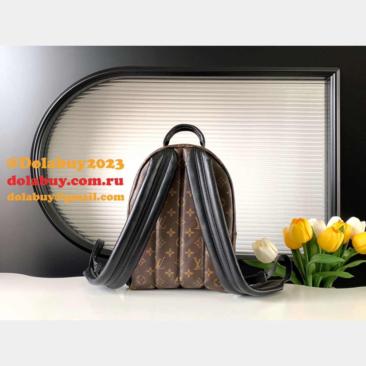 Top Quality Classical Palm Springs Louis Vuitton backpack