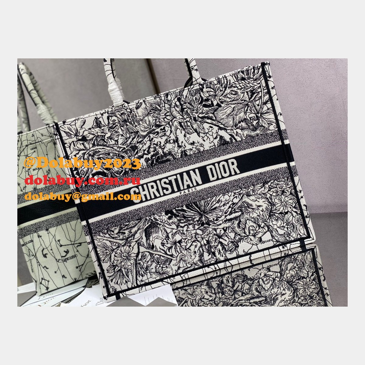 Replica Christian Dior Trotter Pattern Hand CD Book Tote Bag