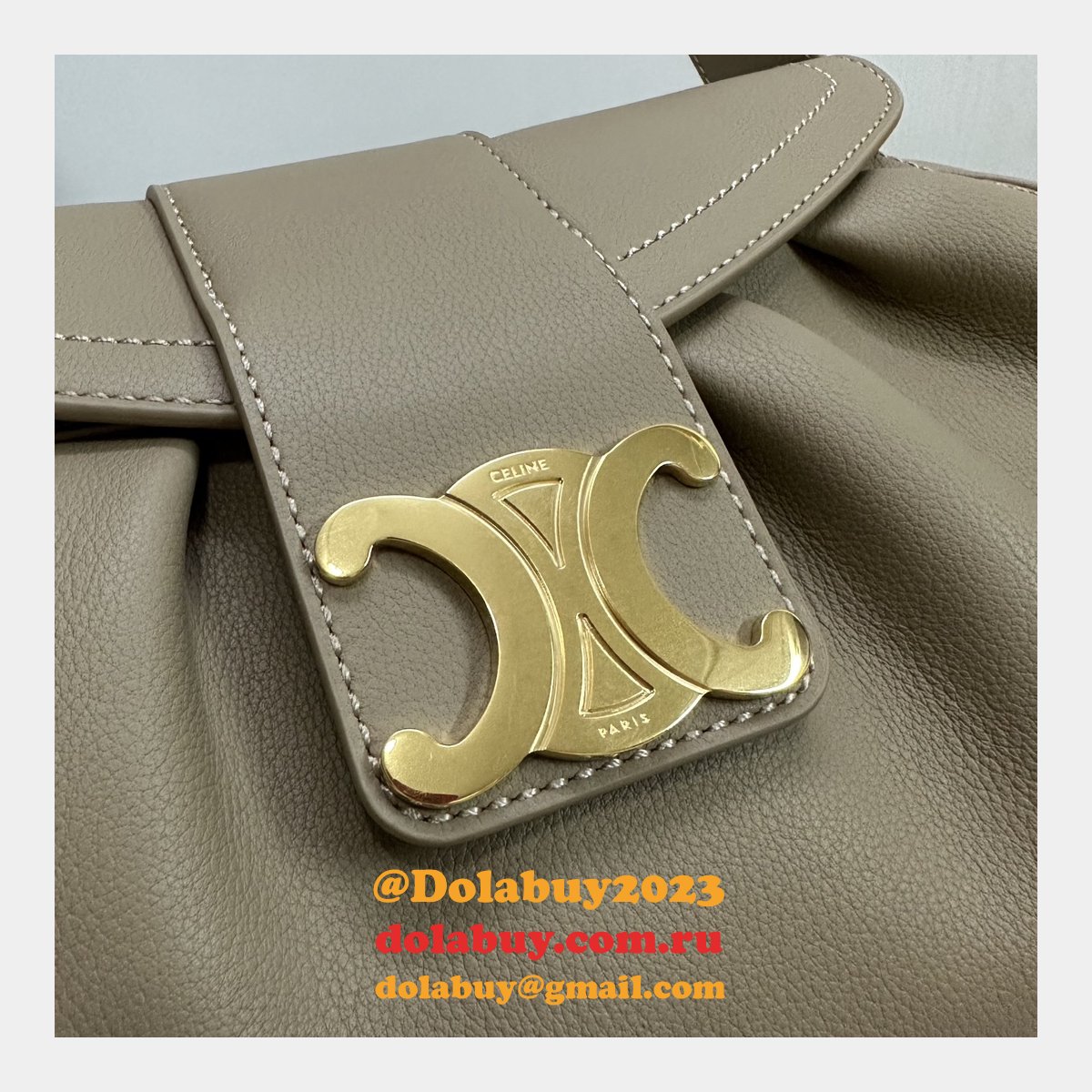 Top Quality Celine POLLY Triomphe 115633 handbag