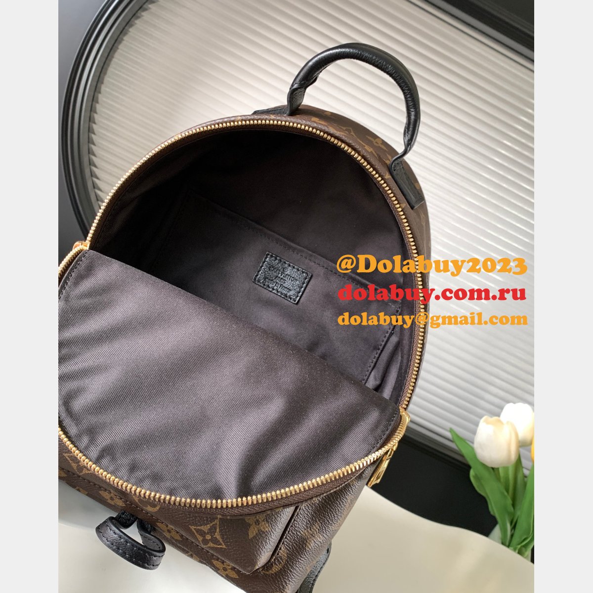 Top Quality Classical Palm Springs Louis Vuitton backpack