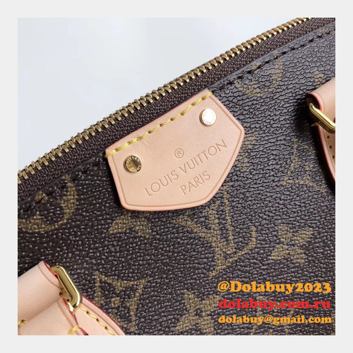 Luxury Louis Vuitton Wholesale Monogram Teyuren PM 2way Shoulder M48813 Bag